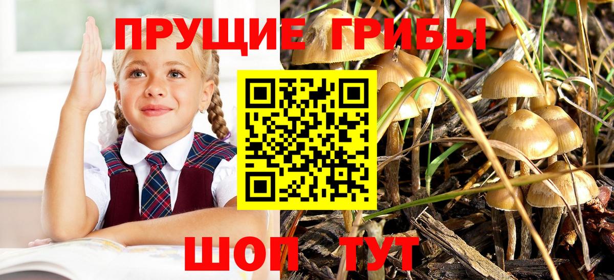Семёнов  где купить   Вход с VPN  Галлюциногенные грибы мицелий 
